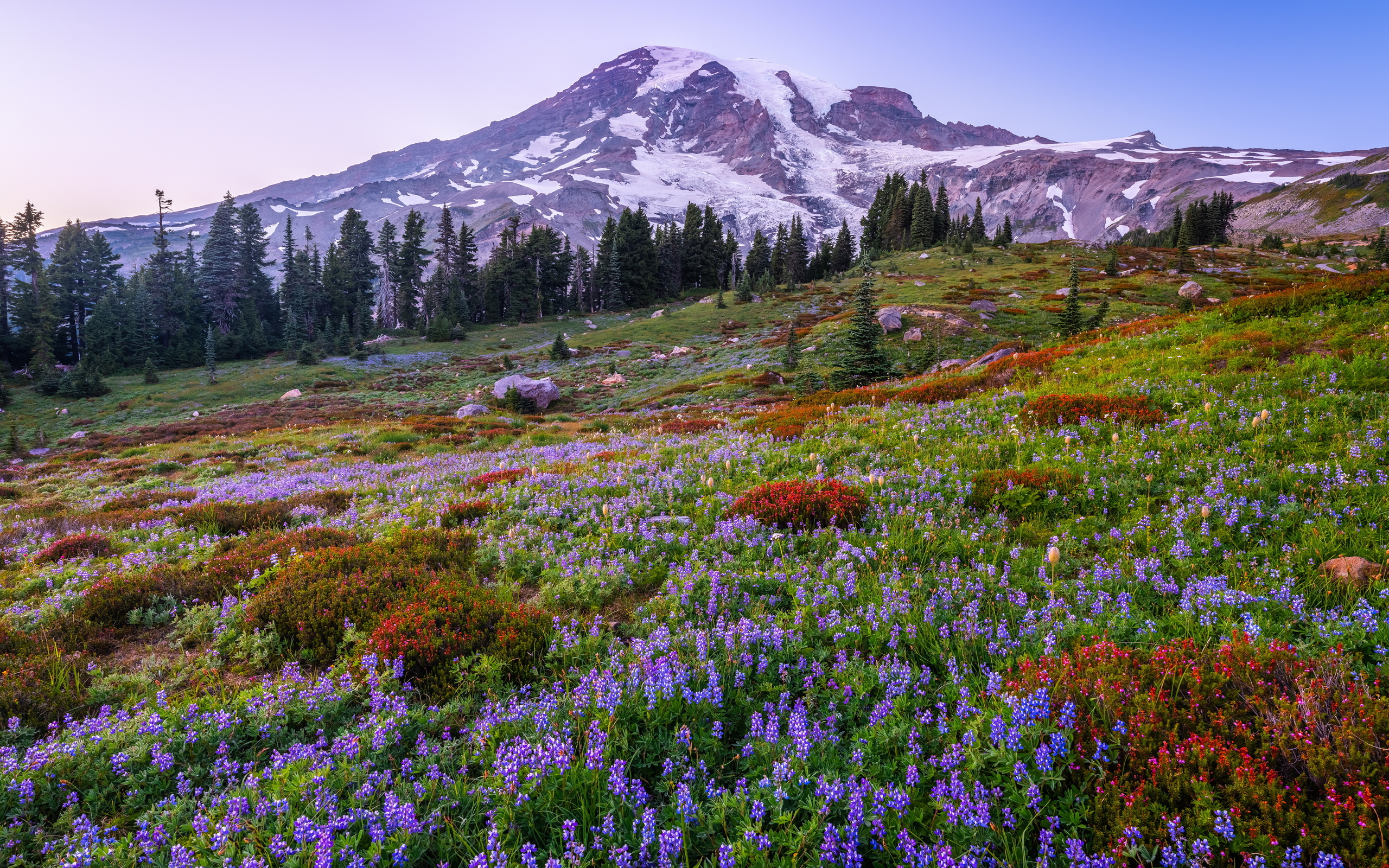 , , mount rainier, national park, , , 