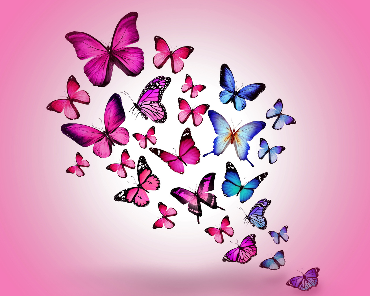 assorted, color, butterfly, wallpaper, butterfly, drawing, flying, colorful, hd, wallpaper