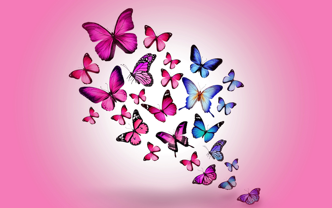 assorted, color, butterfly, wallpaper, butterfly, drawing, flying, colorful, hd, wallpaper