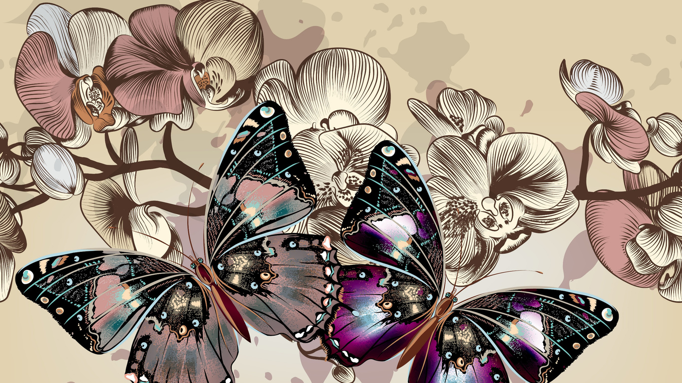 two, multicolored, butterflies, illustration, color, butterfly, flowers, background, hd, wallpaper