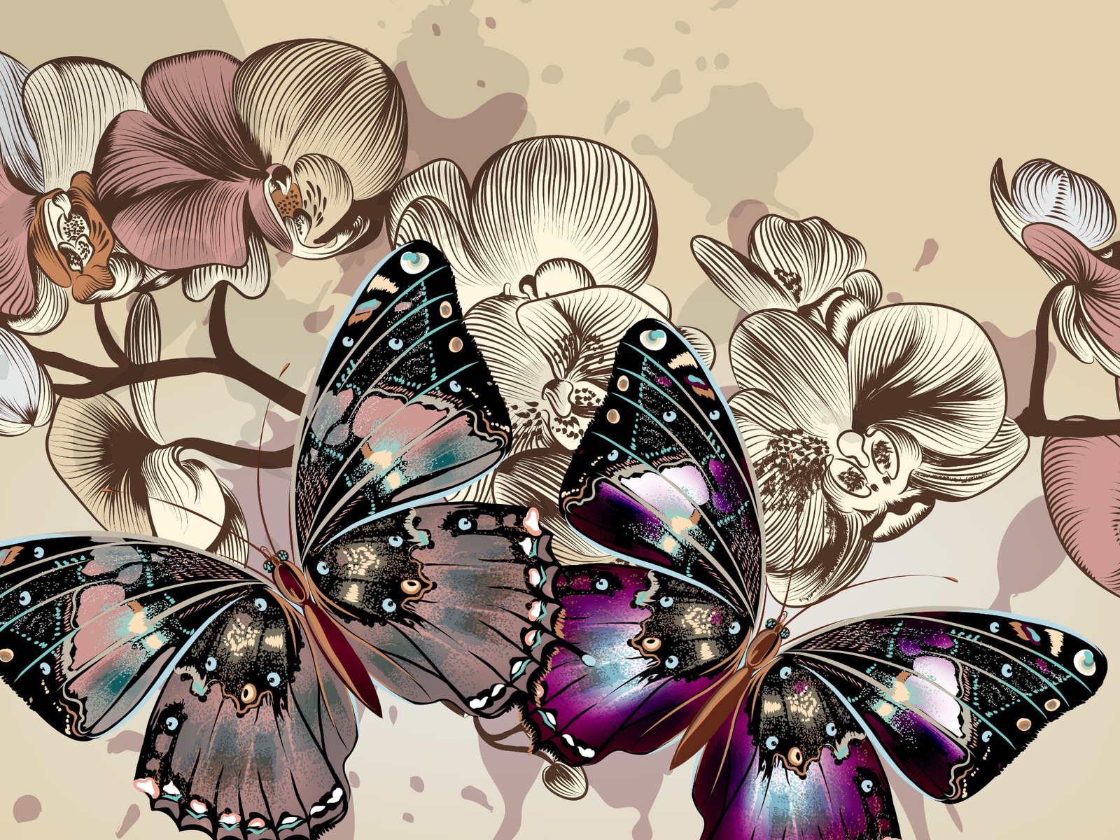 two, multicolored, butterflies, illustration, color, butterfly, flowers, background, hd, wallpaper