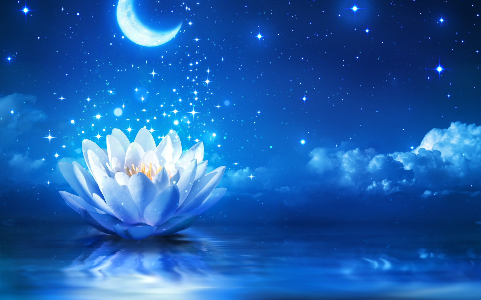 white, water, lotus, flower, and, crescent, moon, wallpaper, flower, water, lights, hd, wallpaper