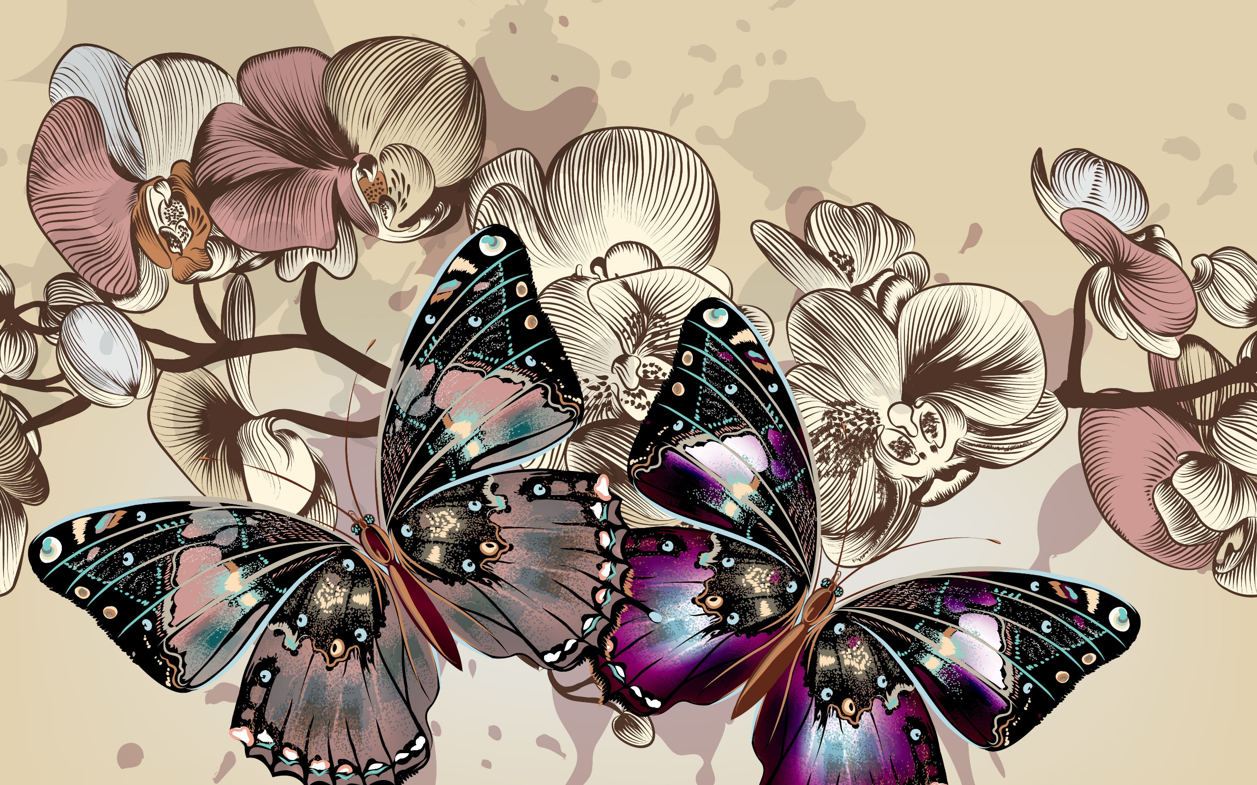 two, multicolored, butterflies, illustration, color, butterfly, flowers, background, hd, wallpaper