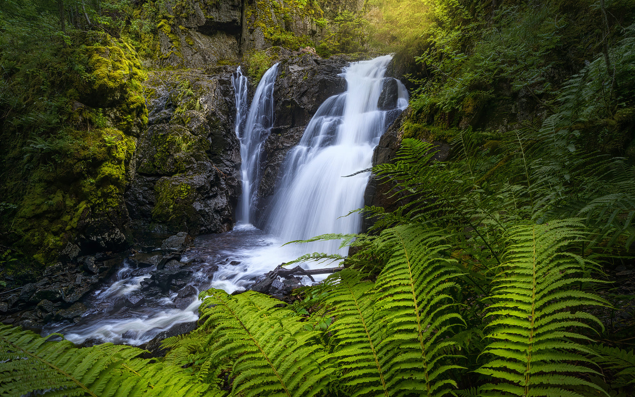 , , ole henrik skjelstad, , , , 