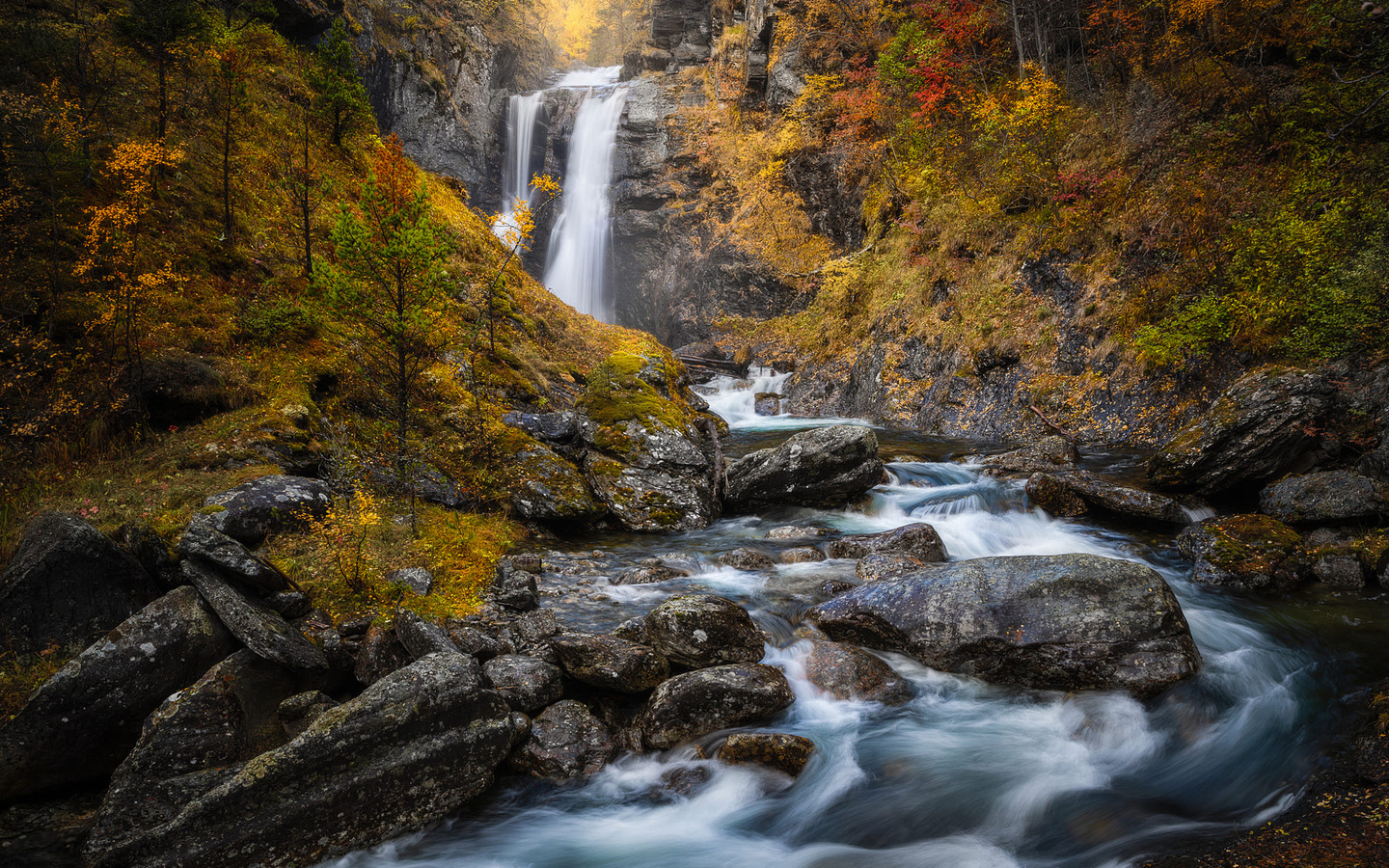 , , ole henrik skjelstad, , , , 