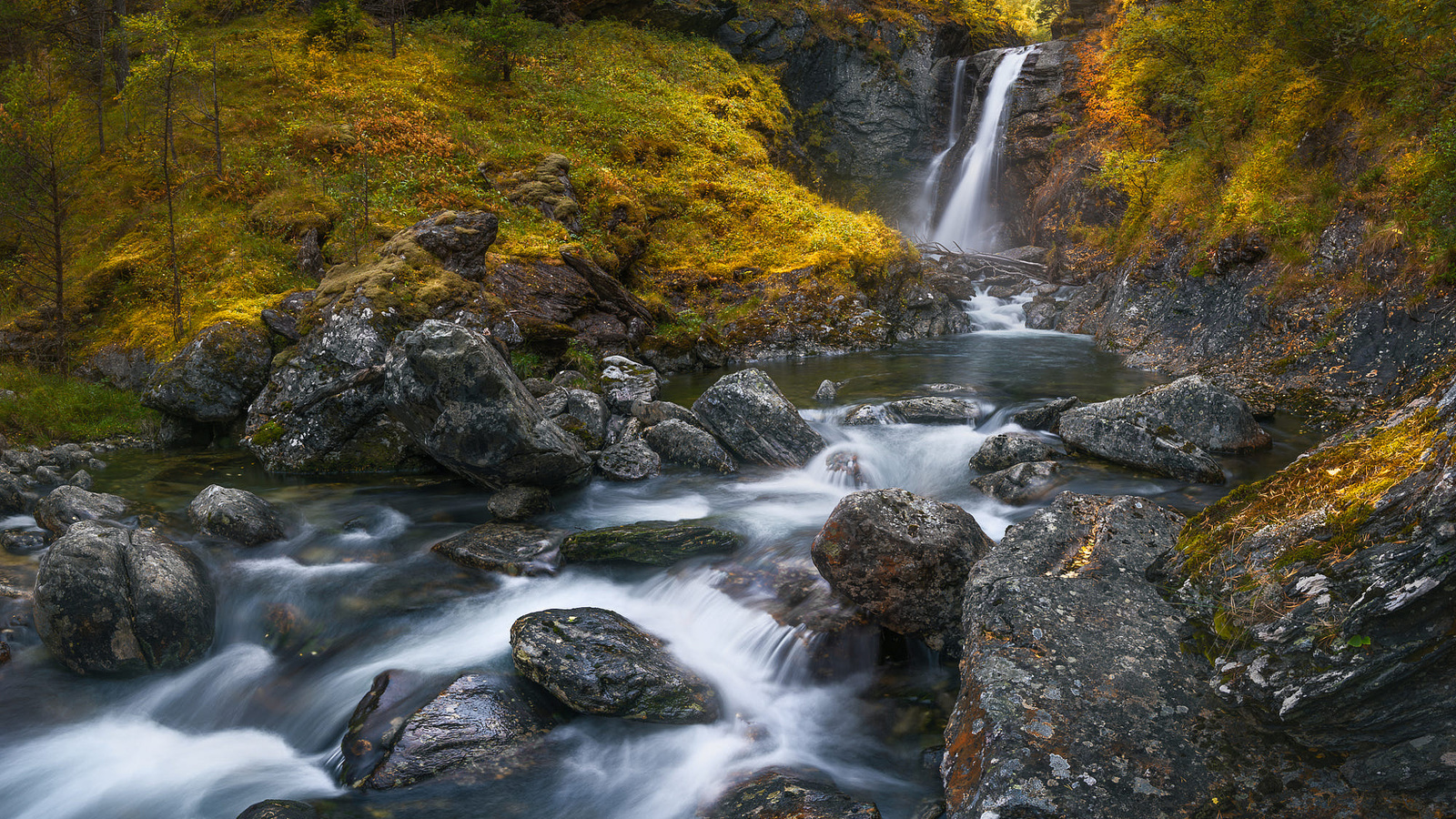 , , ole henrik skjelstad, , , 