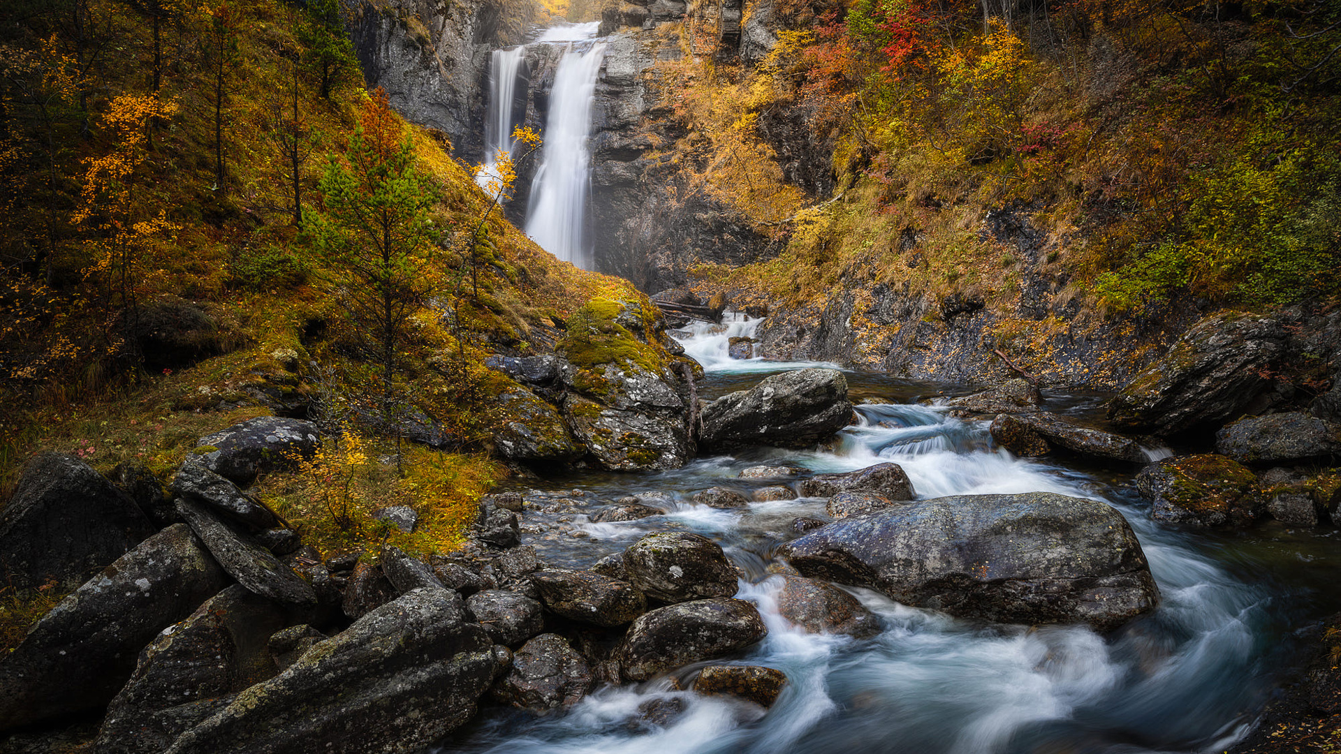 , , ole henrik skjelstad, , , , 