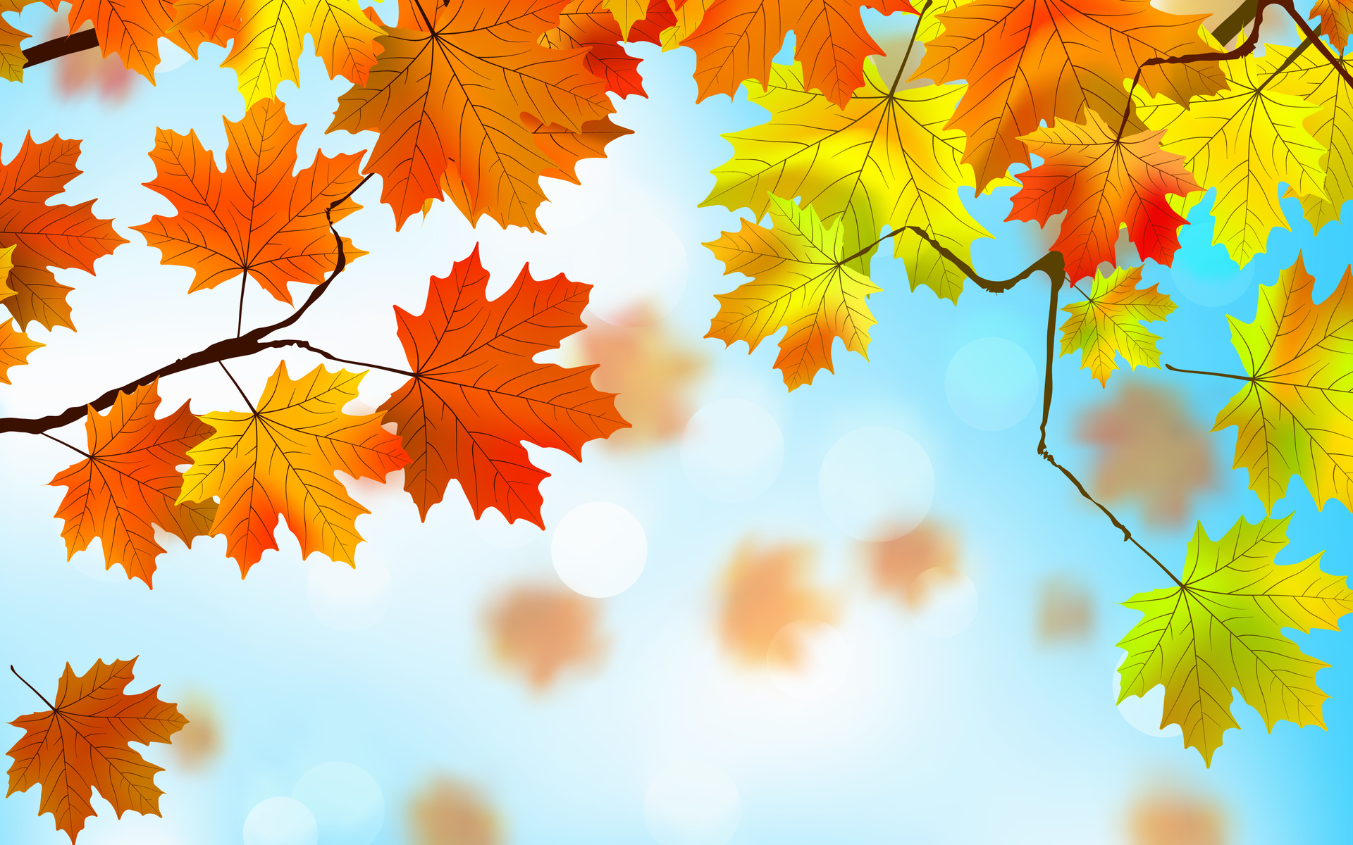 autumn, maple, , leaves, 