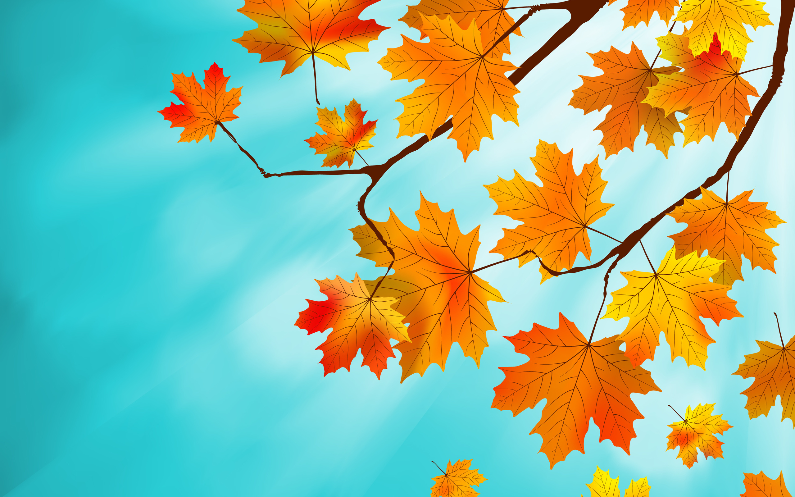 autumn, , , leaves, maple