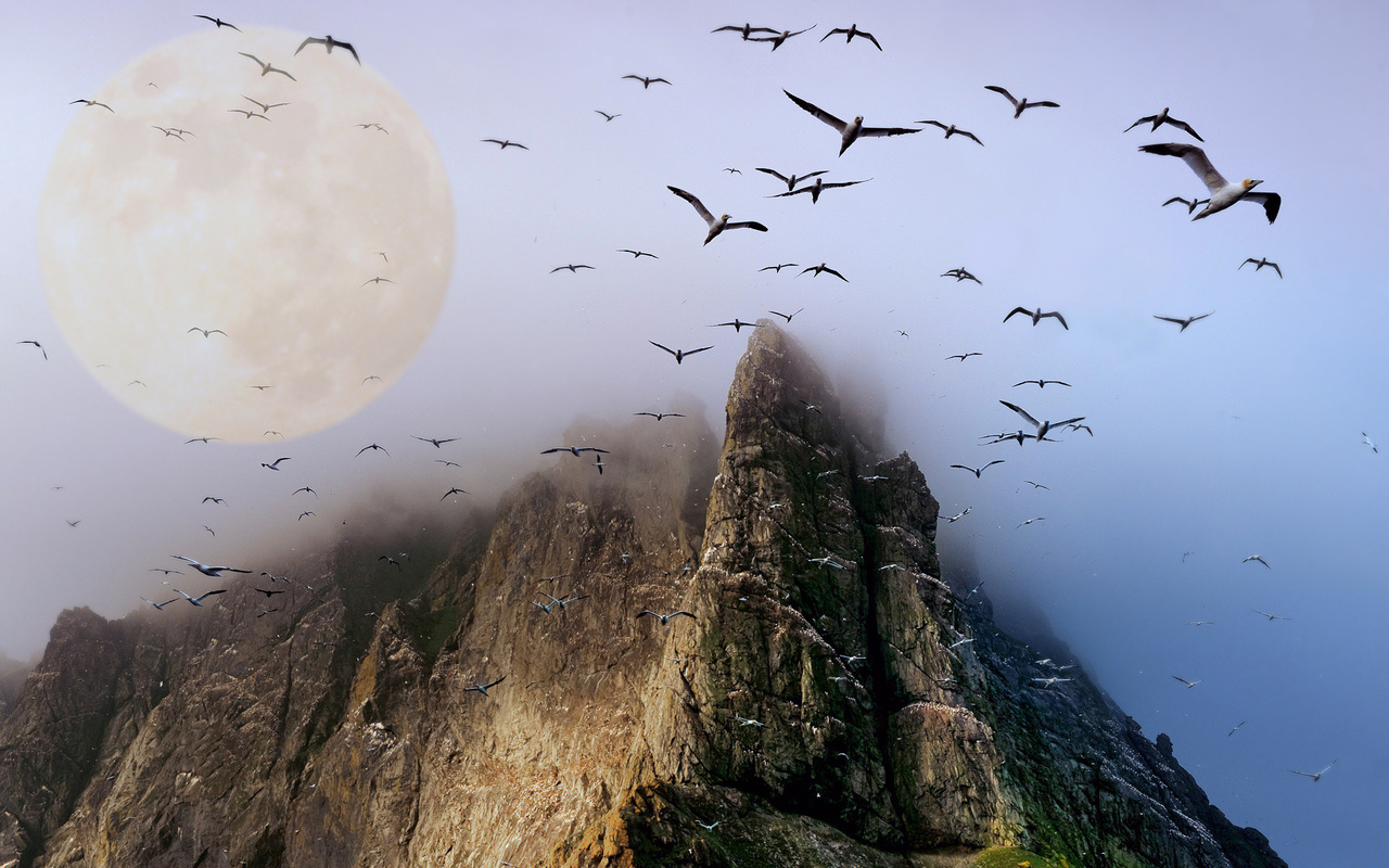 Лунная птица. Море скалы туман. Озеро туман скалы. Луна туман песня