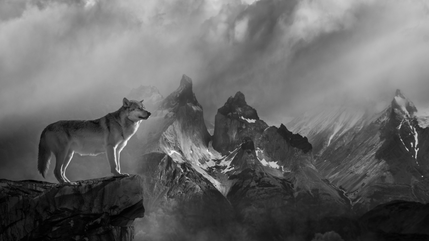 пейзаж, горы, небо, туман, волк