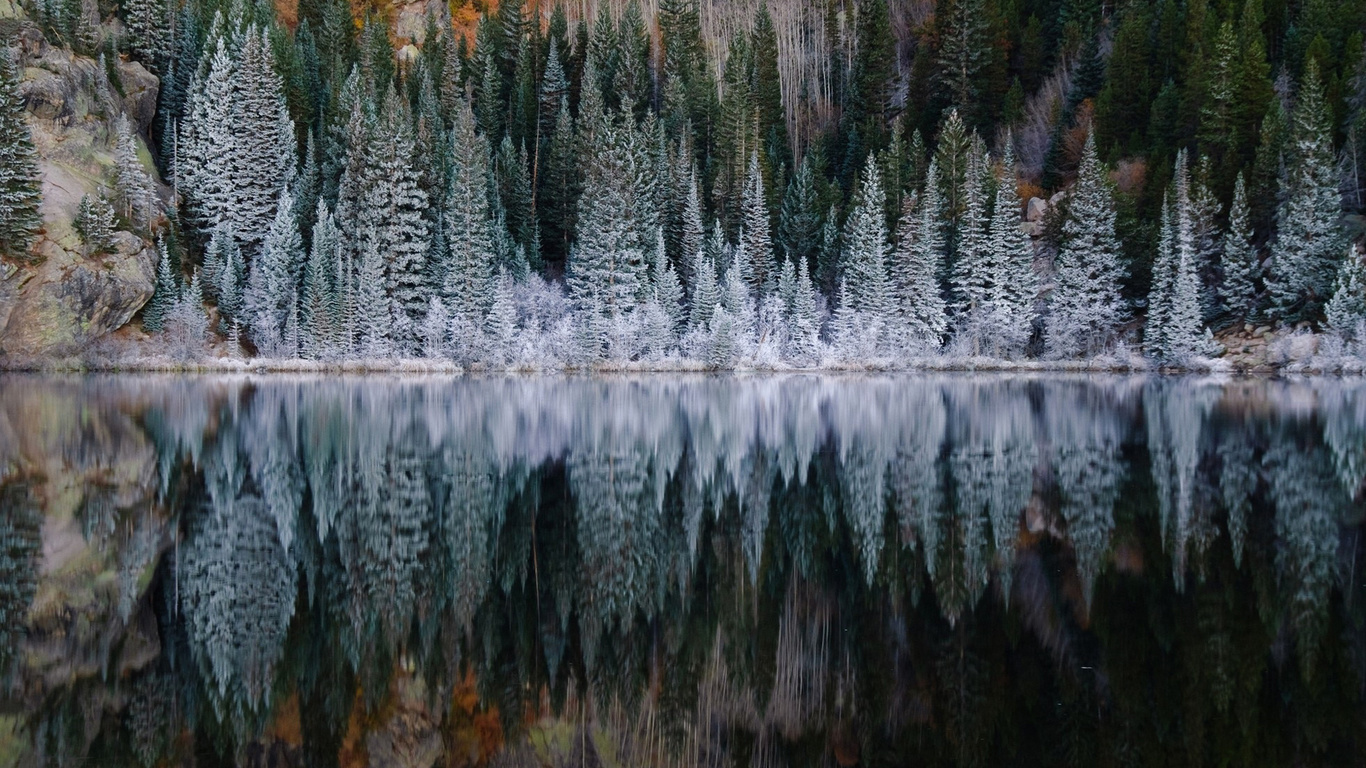лес, иней, озеро, отражение