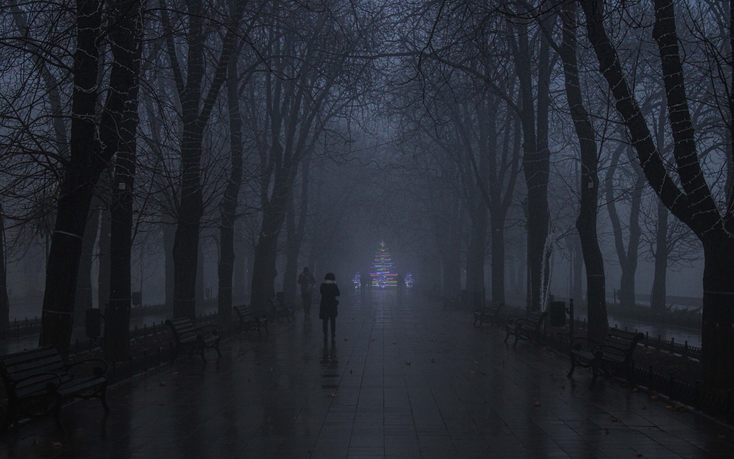 парк, туман, вечер, новый год, елка, современность