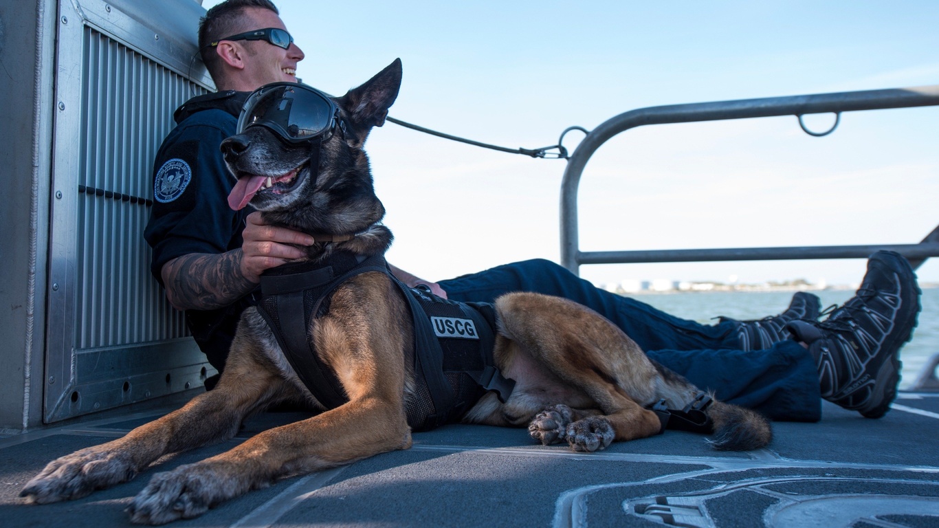 uscg k-9, united states coast guard,  , guard dog,  