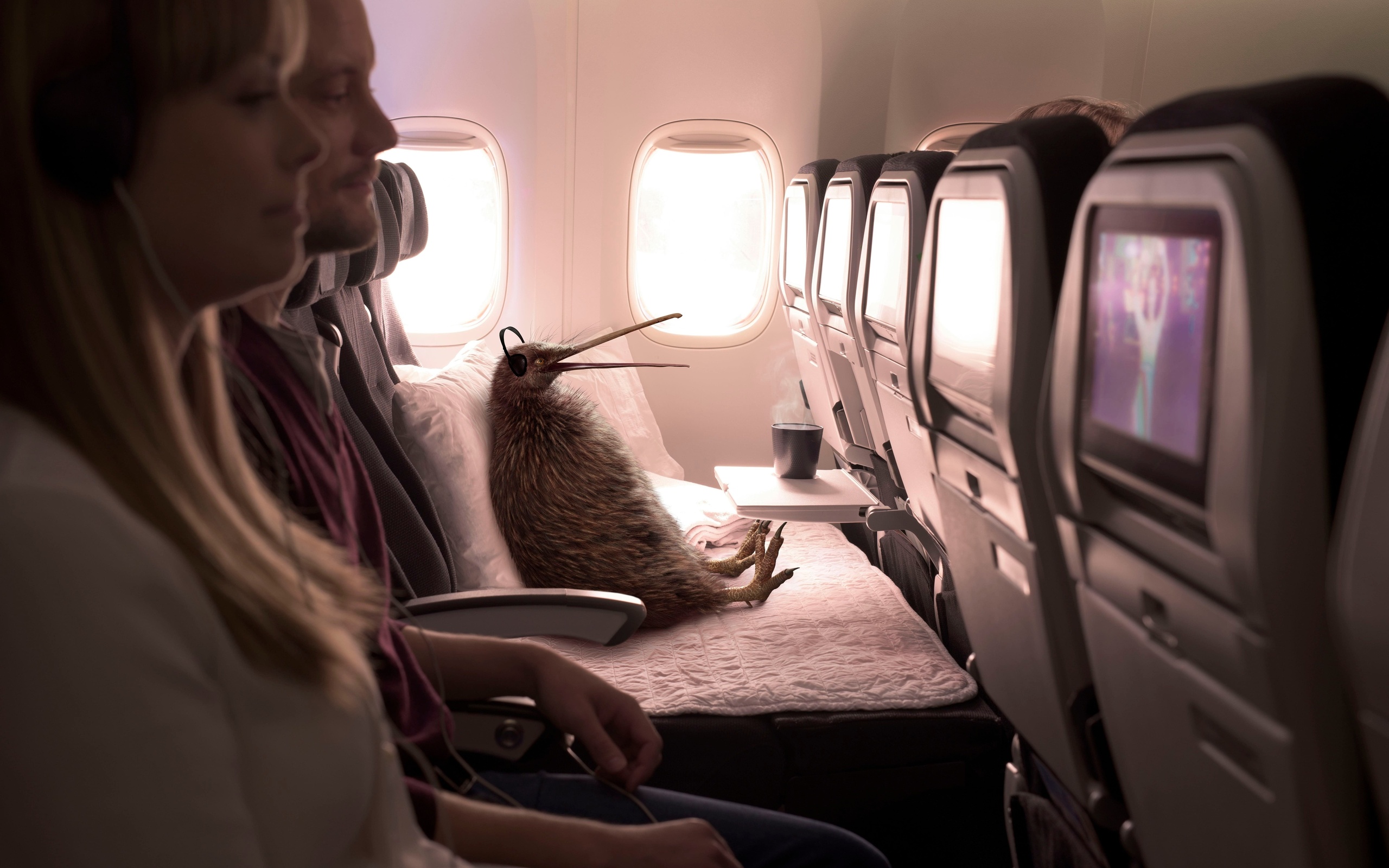 new zealand,  , air new zealand, kiwi, , better way to fly, campaign
