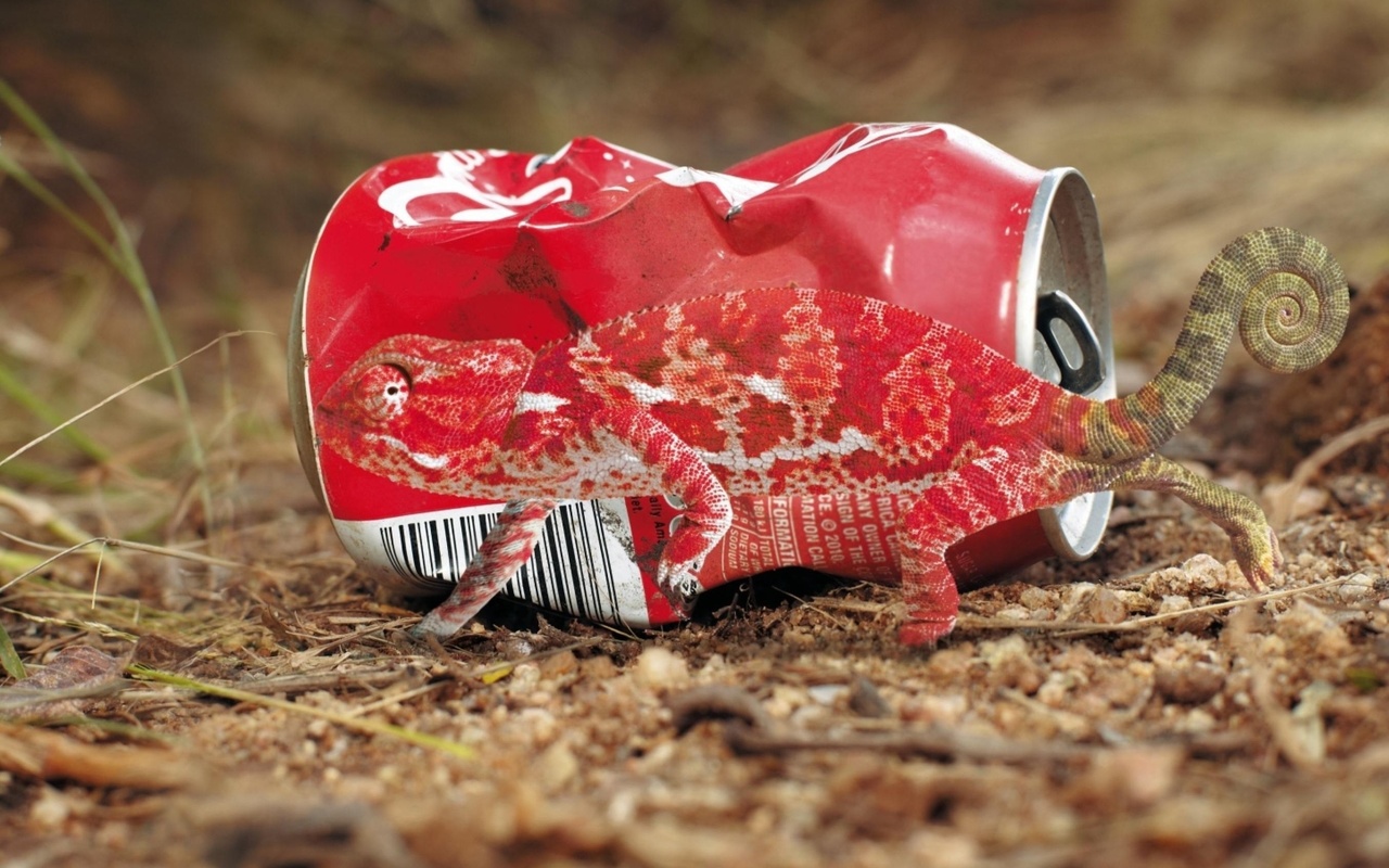     ,   , chameleon, anti litter campaign, animals cant be recycled, please dont litter