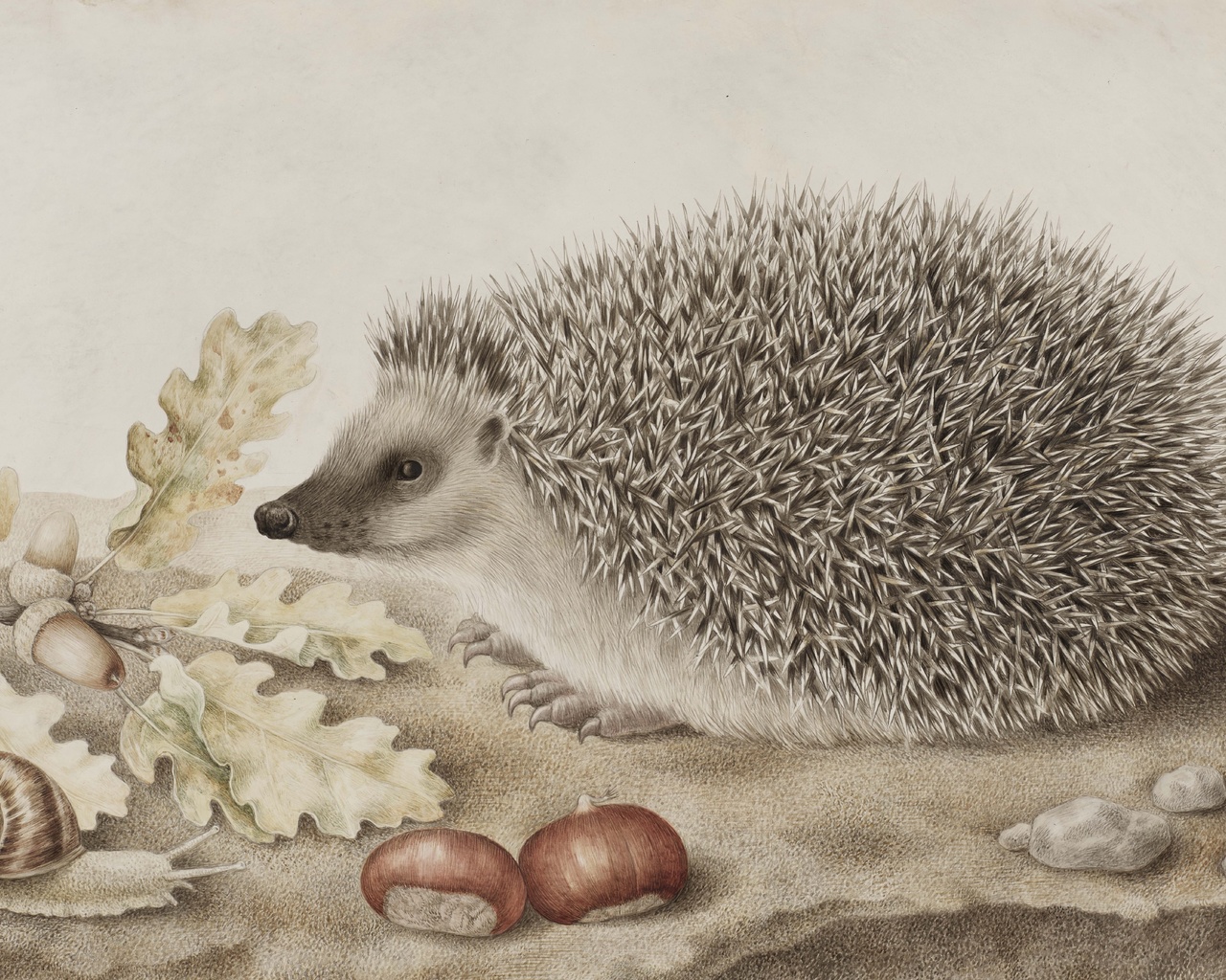 giovanna garzoni, italian baroque, a hedgehog in a landscape,    ,  