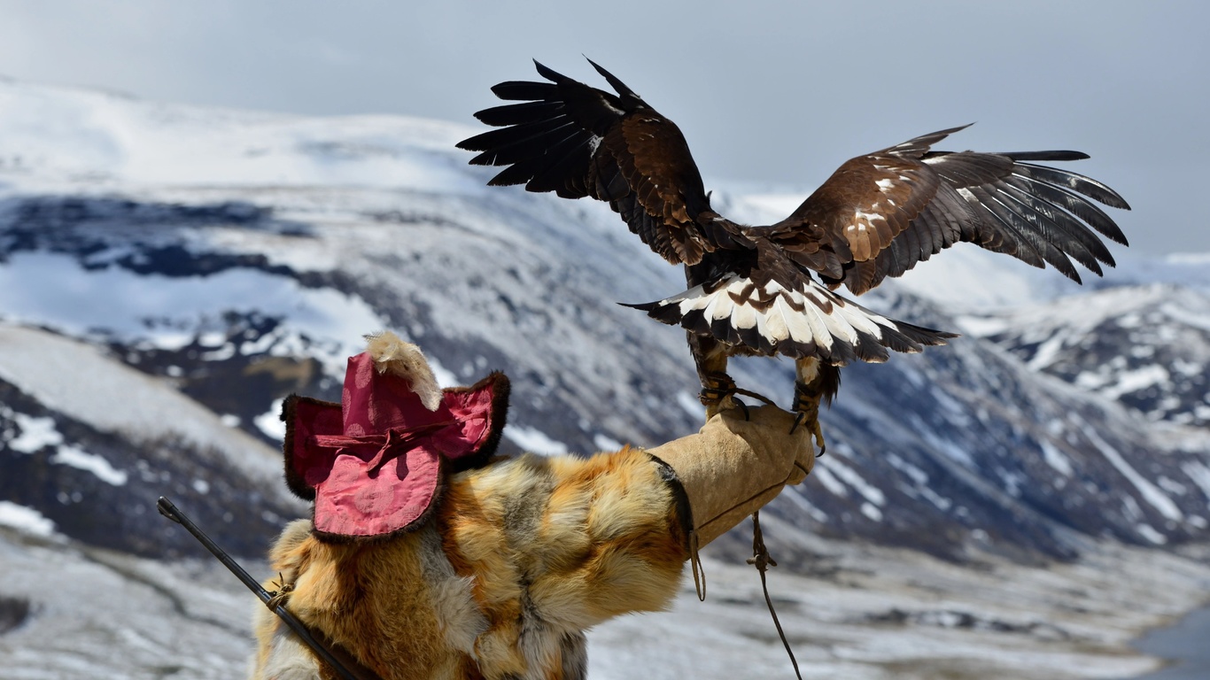 mongolia, altai, nomad, eagle hunter