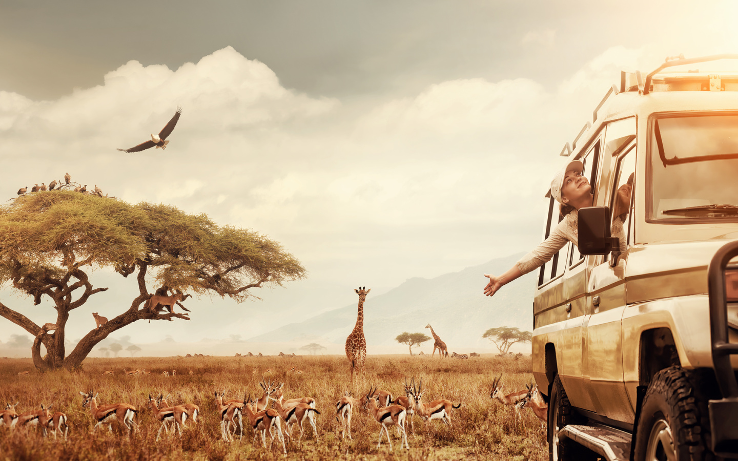 safari, animal, tourism, africa, traveling