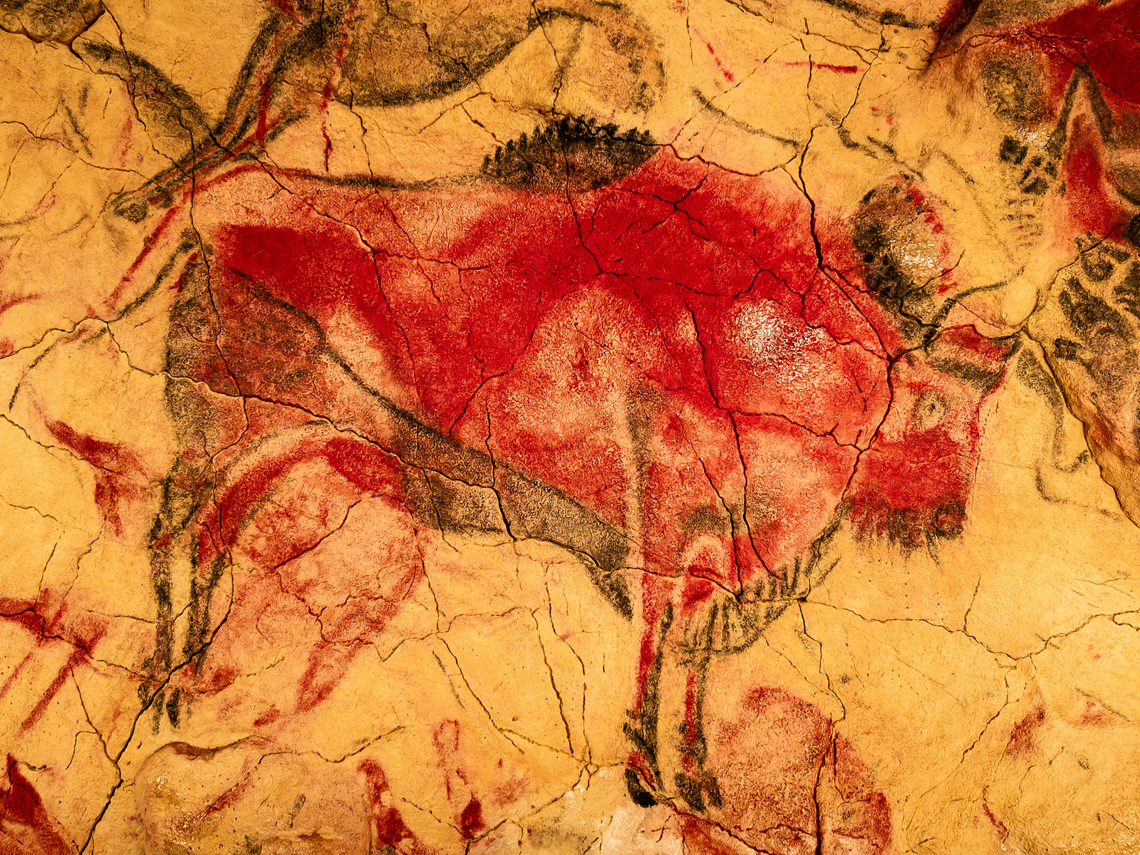 paleolithic rock painting, red bison, altamira cave, spain