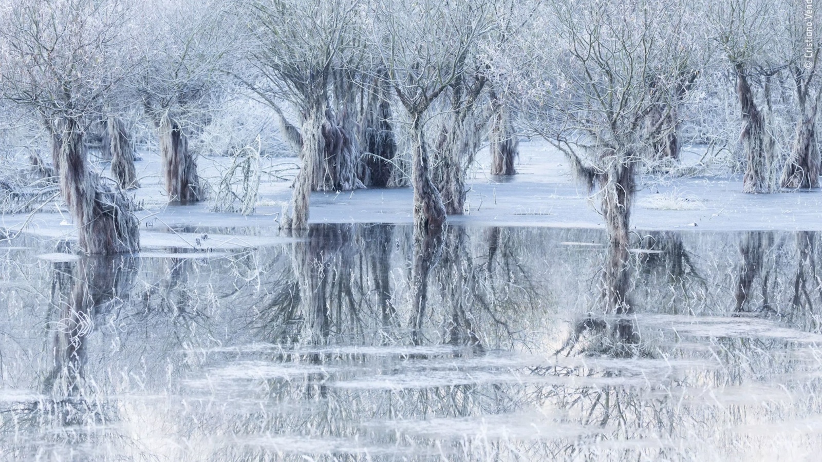 lake of ice, santa croce lake, belluno, italy