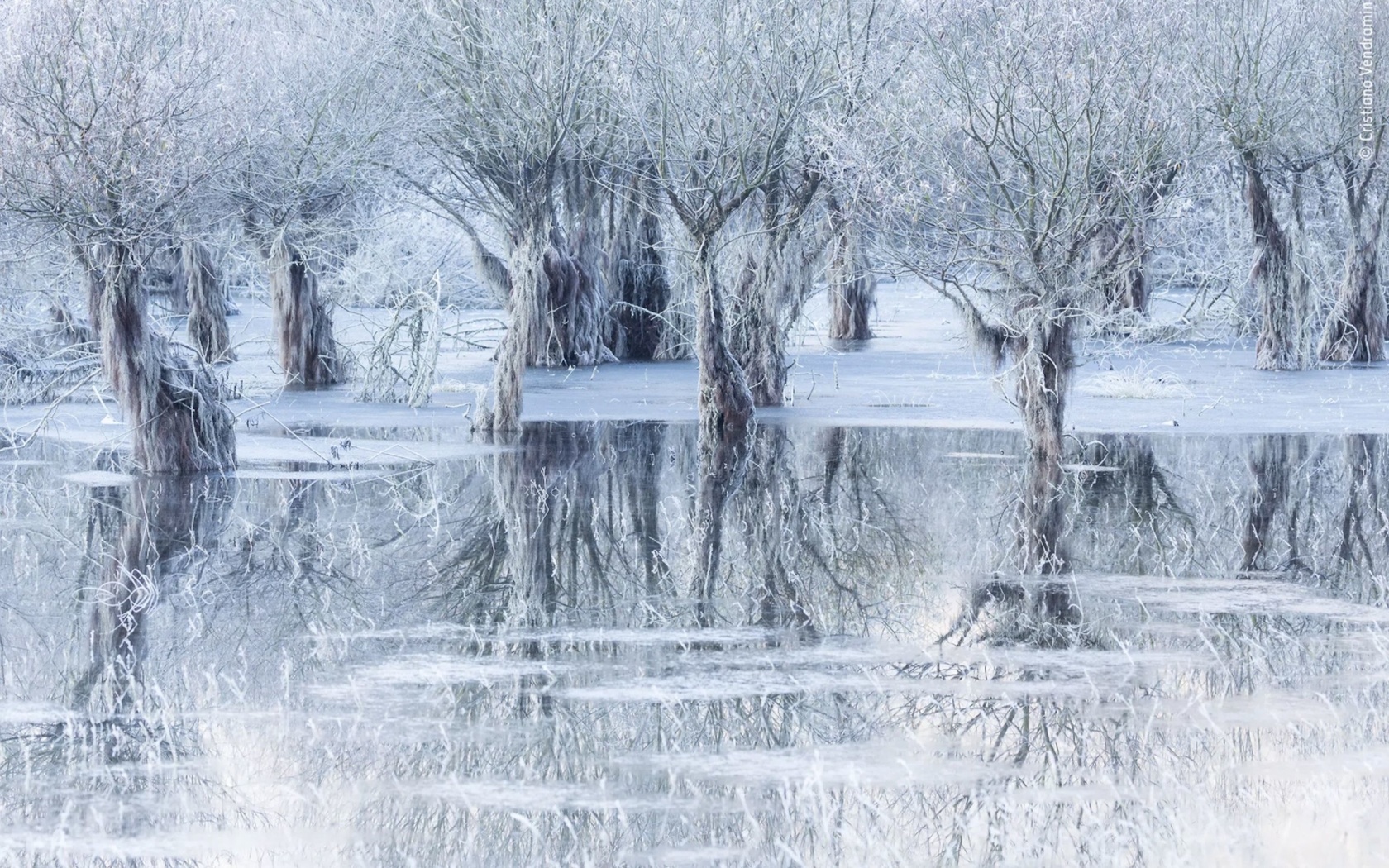 lake of ice, santa croce lake, belluno, italy