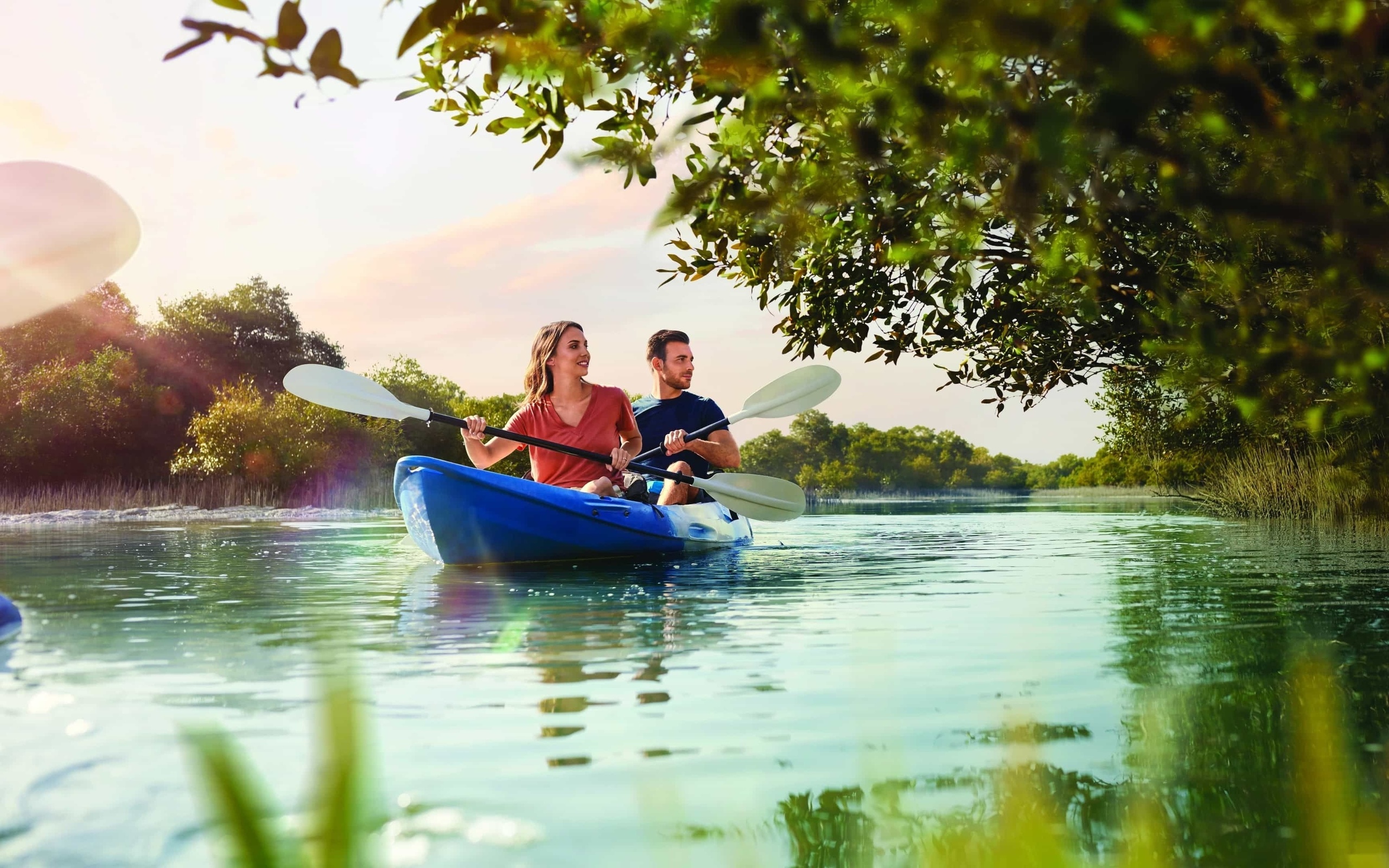 mangrove national park, uae, abu dhabi, kayak tour