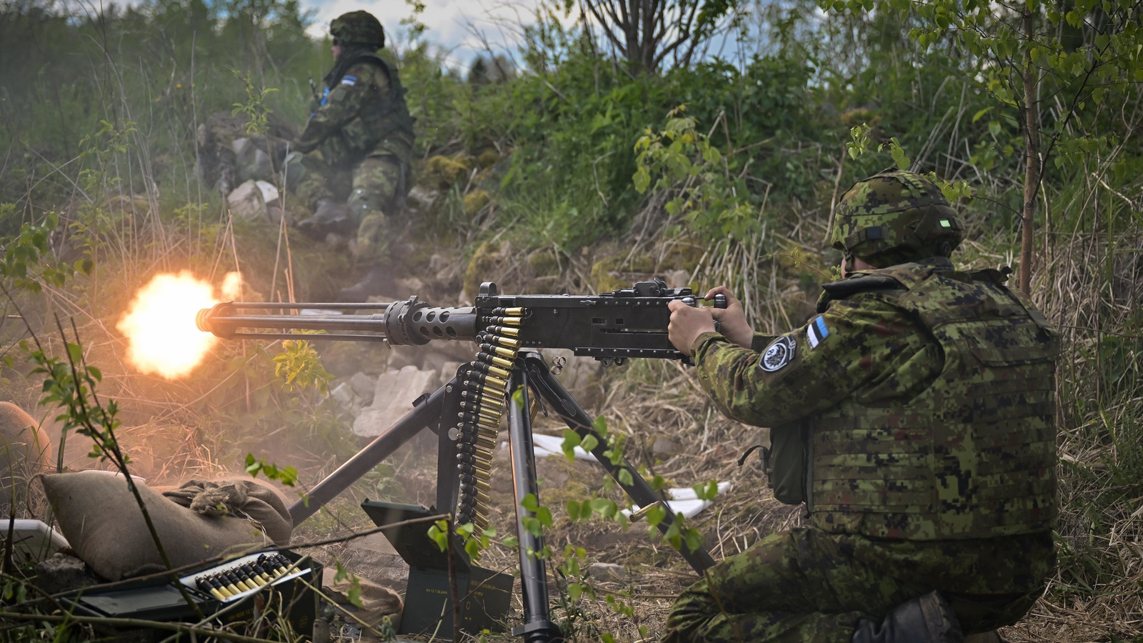 nato exercise, estonia-latvia border, reservists, 2nd estonian infantry brigade
