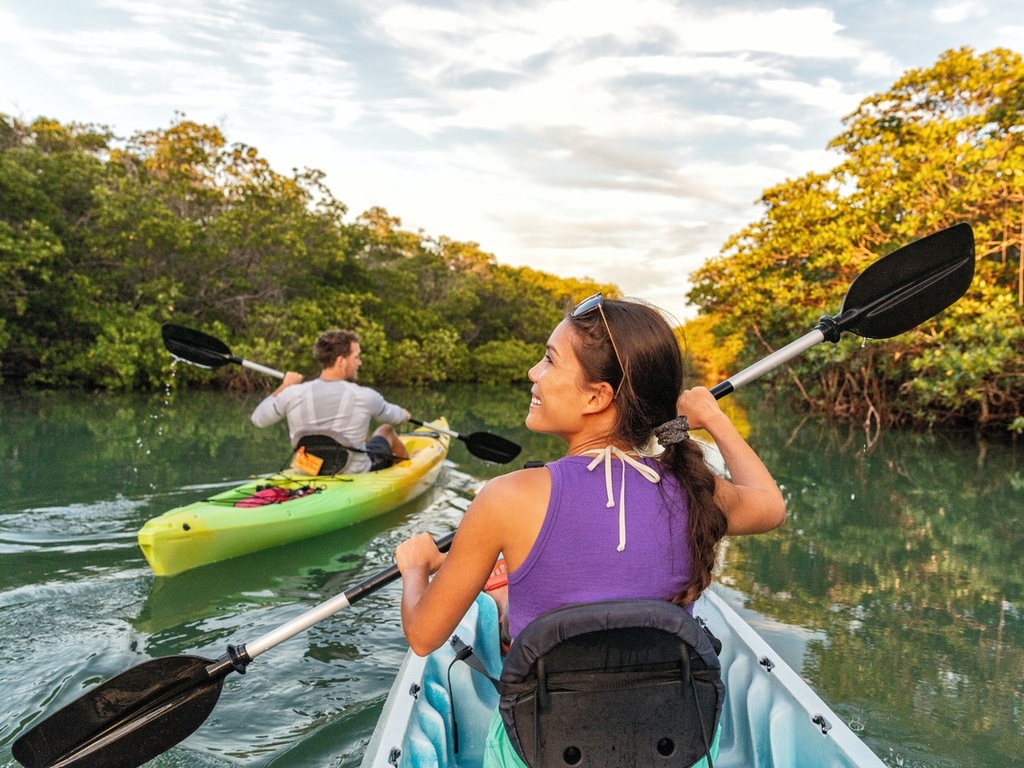 kayaking, mangroves, trip, islamorada, florida