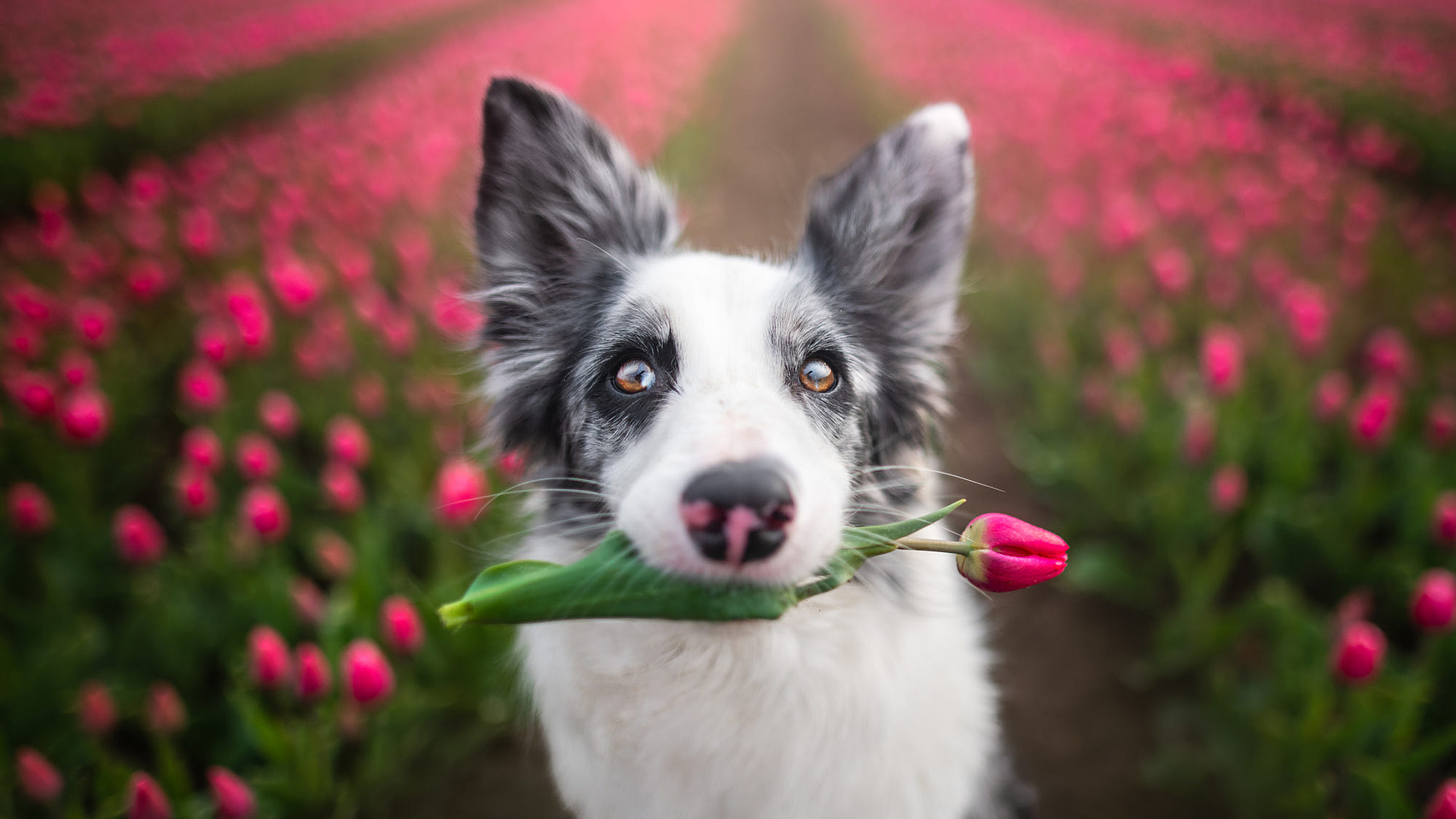 , , -, -, , , , iza lyson