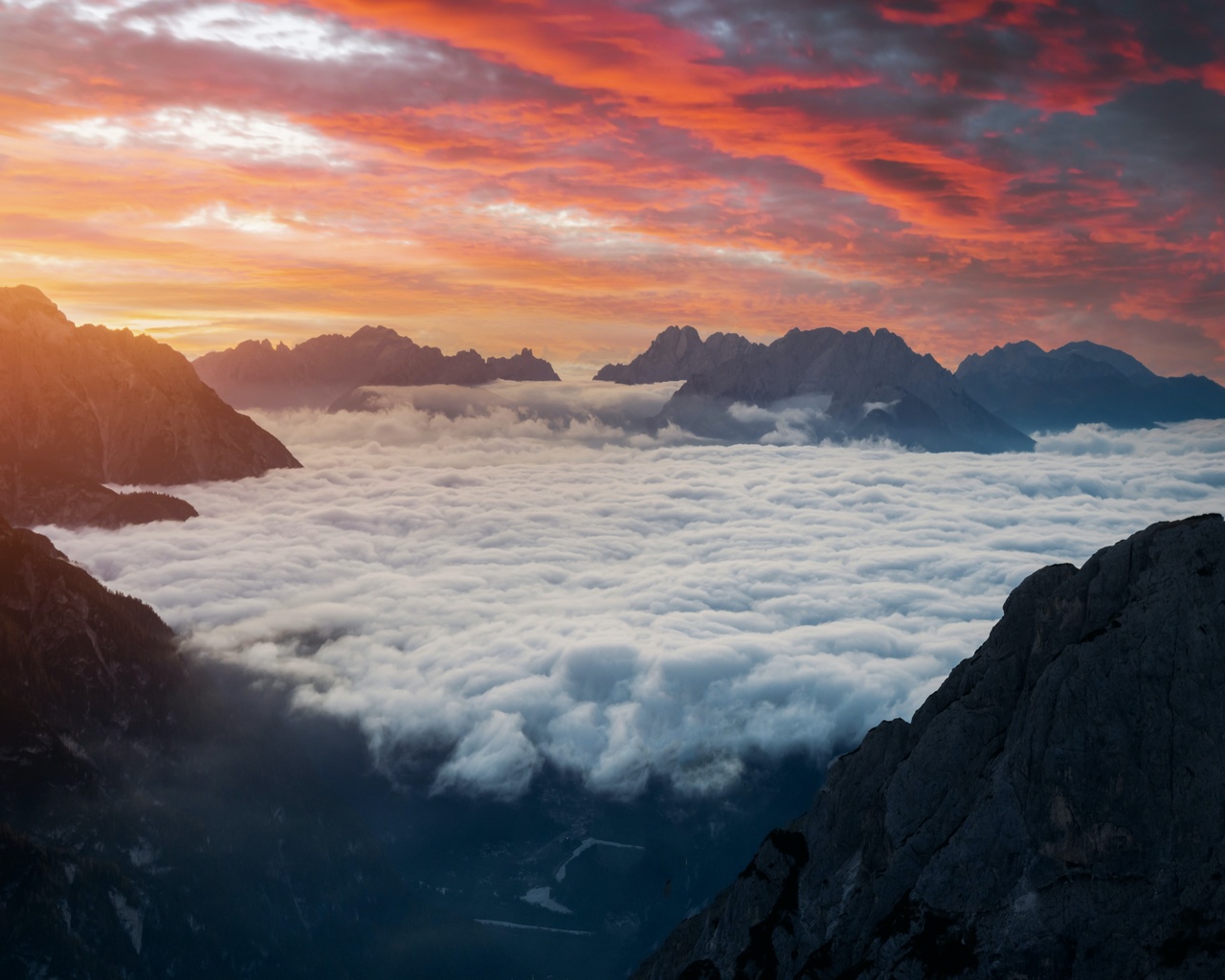 ,  ,  ,  , ,   , ,  , , , ,  ,  ,  ,  , 