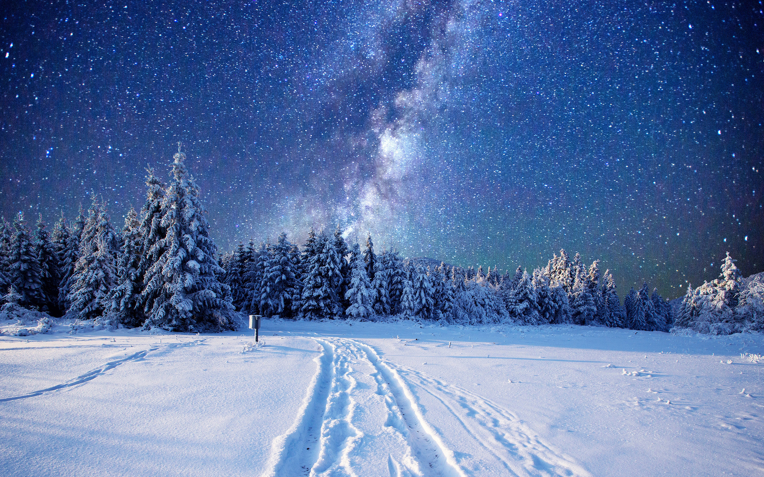 , , , , , , , , , , the sky, traces, road, ate, night, snow, nature, forest, winter, stars