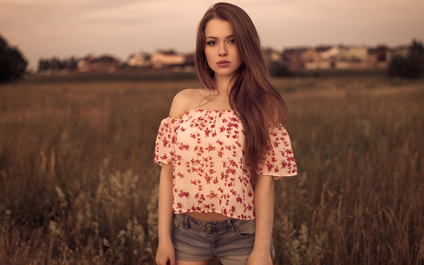 beautiful, girl, field, sweet hd wallpaper, , , ,  hd